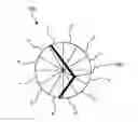 Fig. 01 - Radial histogram matching