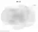 Fig. 16 - Method and apparatus for rendering target fluid