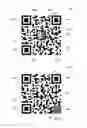 Fig. 02 - Two dimensional barcode and method of authentication of such barcode