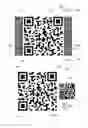 Fig. 04 - Two dimensional barcode and method of authentication of such barcode