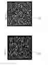 Fig. 09 - Two dimensional barcode and method of authentication of such barcode