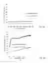 Fig. 04 - Information recording medium