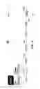 Fig. 11 - METHOD AND APPARATUS FOR IMPLEMENTING AN AUTO WAIT LIST PROCESS IN SCHEDULING OR CALENDARING APPOINTMENTS