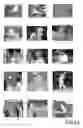 Fig. 07 - Fraud Deterrence for Payment Card Transactions