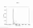 Fig. 05 - Methods and systems for providing multivariate time series clustering for customer segmentation