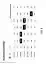 Fig. 13 - SYSTEM AND METHOD FOR CONTENT INTAKE, SCORING AND DISTRIBUTION