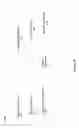 Fig. 06 - Telecommunications product defining and provisioning