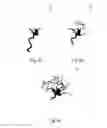 Fig. 05 - Angiographic roadmapping mask