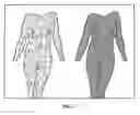 Fig. 06 - SYNTHETICALLY FABRICATED AND CUSTOM FITTED DRESSWARE
