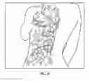 Fig. 07 - SYNTHETICALLY FABRICATED AND CUSTOM FITTED DRESSWARE