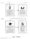 Fig. 06 - Museum augmented reality program