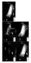 Fig. 05 - Methods and systems for alignment of a subject for medical imaging