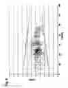 Fig. 06 - Device and method for determining load profiles of motor vehicles