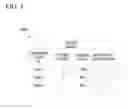 Fig. 06 - MANAGEMENT APPARATUS, METHOD, AND COMPUTER READABLE MEDIUM