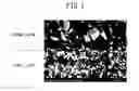 Fig. 02 - Carbon-based acoustic matching layer and method for producing same