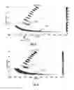 Fig. 08 - Collimator for X-ray diffraction spectroscopy, associated device and its use