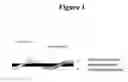 Fig. 02 - Downhole cables with both fiber and copper elements
