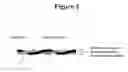 Fig. 04 - Downhole cables with both fiber and copper elements