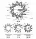 Fig. 03 - Toroid inductor with reduced electromagnetic field leakage