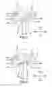 Fig. 04 - Power tool