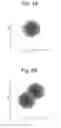 Fig. 04 - Ion profiling with a scanning quadrupole mass filter
