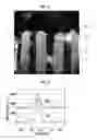 Fig. 04 - Anisotropic conductive member and multilayer wiring substrate