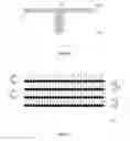 Fig. 05 - CONDUCTIVE PLUG STRUCTURE AND FABRICATION METHOD THEREOF