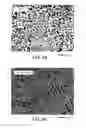 Fig. 09 - Electronic device, electronic part, and solder