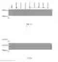 Fig. 09 - Semiconductor device and manufacturing method thereof