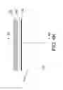 Fig. 29 - Split gate non-volatile flash memory cell having metal gates and method of making same
