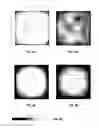 Fig. 04 - Chip-scale packaged image sensor packages with black masking and associated packaging methods