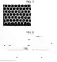 Fig. 05 - Process for fabricating vertically-aligned gallium arsenide semiconductor nanowire array of large area