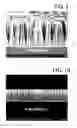 Fig. 06 - Process for fabricating vertically-aligned gallium arsenide semiconductor nanowire array of large area