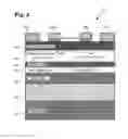 Fig. 03 - III-nitride bidirectional device