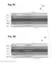 Fig. 04 - III-nitride bidirectional device
