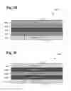 Fig. 06 - III-nitride bidirectional device