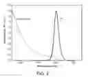 Fig. 03 - Device including quantum dots