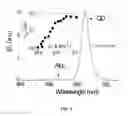 Fig. 06 - Light emitting device including semiconductor nanocrystals