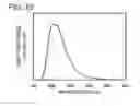 Fig. 26 - Spirofluorene derivative, material for light-emitting element, light-emitting element, light-emitting device, and electronic device