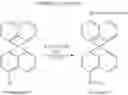 Fig. 22 - Spiro organic compounds