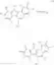 Fig. 65 - Organic Compound, Light-Emitting Element, Light-Emitting Device, Electronic Device, and Lighting Device