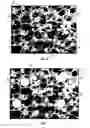 Fig. 03 - Electrode having a selectively loaded matrix and method of manufacturing
