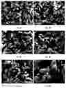 Fig. 04 - METHODS FOR MAKING CONFORMATIONAL CONDUCTIVE COATED MATERIALS