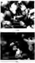 Fig. 05 - METHODS FOR MAKING CONFORMATIONAL CONDUCTIVE COATED MATERIALS