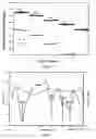 Fig. 10 - METHODS FOR MAKING CONFORMATIONAL CONDUCTIVE COATED MATERIALS