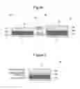 Fig. 02 - Negative electrode for non-aqueous electrolyte secondary battery, and non-aqueous electrolyte secondary battery