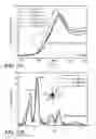 Fig. 18 - Layered Metal Oxide Cathode Material for Lithium Ion Batteries