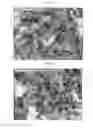 Fig. 02 - Solvent-free electrode fabrication