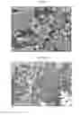 Fig. 03 - Solvent-free electrode fabrication