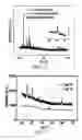 Fig. 11 - Encapsulated sulfur cathodes for rechargeable lithium batteries